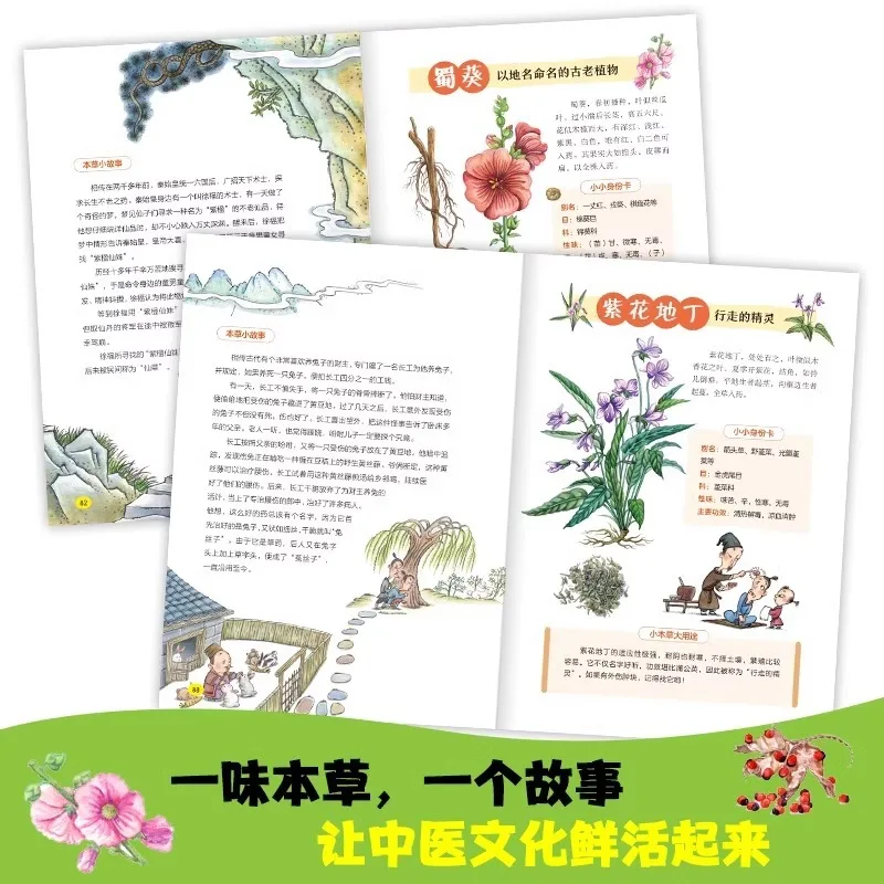 Compendio di fumetti sulla Mat - Herbal Wellness Book recensione e prezzo