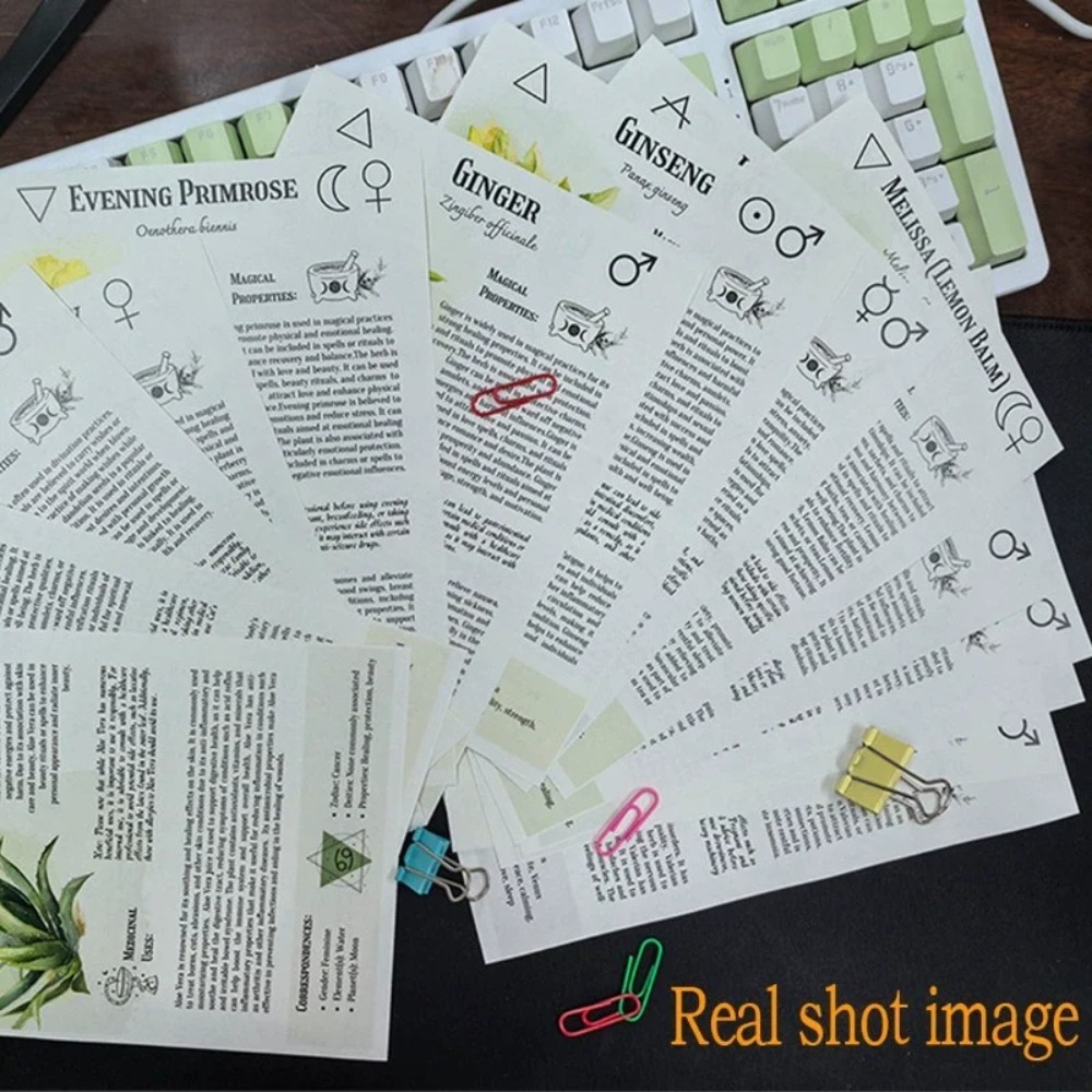 Libro di ricette per tinture:  - Herbal Wellness Book recensione e prezzo